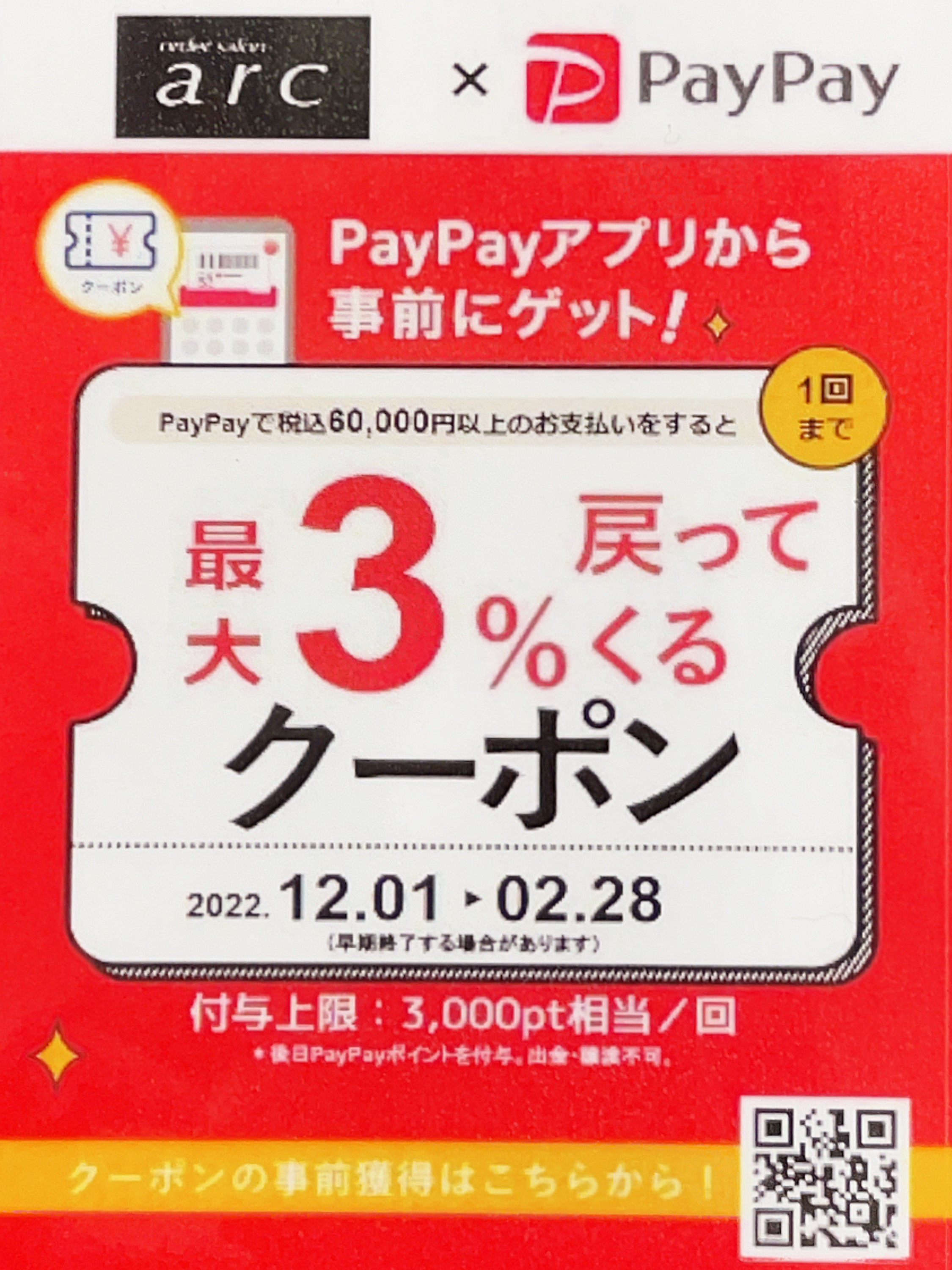 paypay1