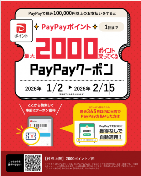 スクリーンショット (10)